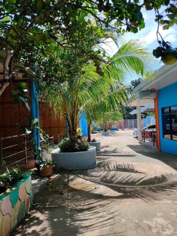 Okolí bed and breakfast
