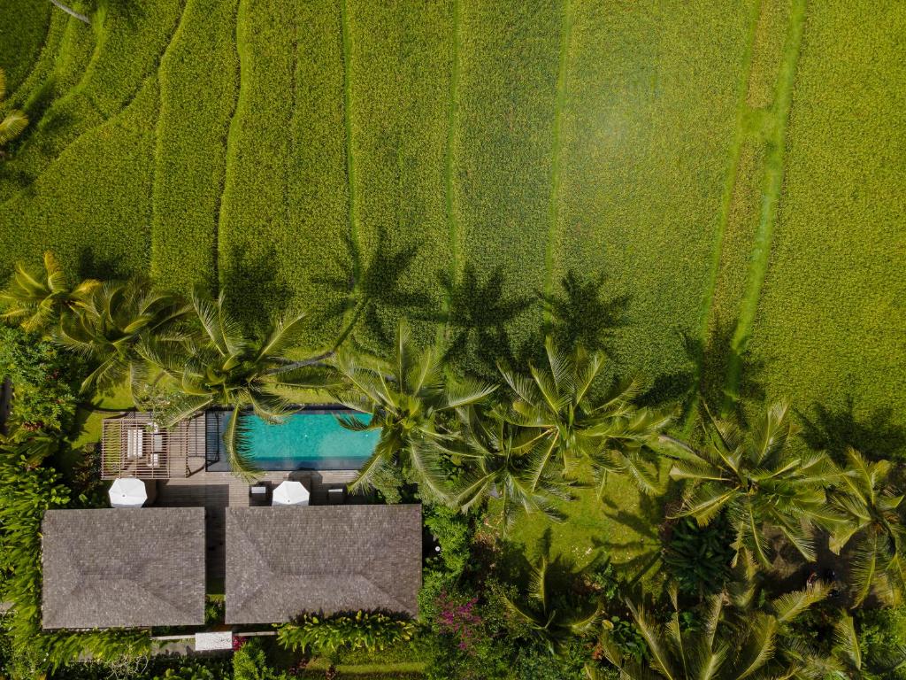 Zahrada ubytování Kappa Senses Ubud