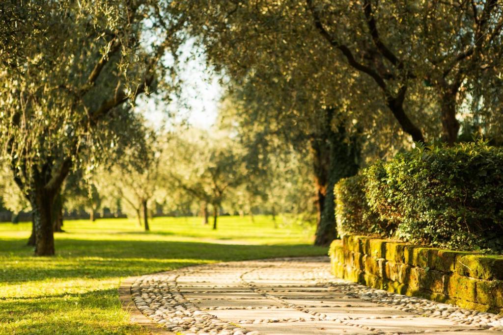 Zahrada ubytování Casa Gardenia