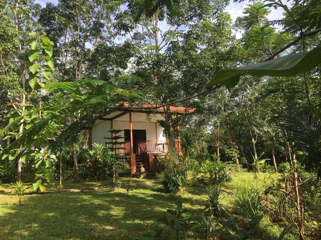a small house in the middle of a forest at Baansuan Suksangob Farm Stay in Trang