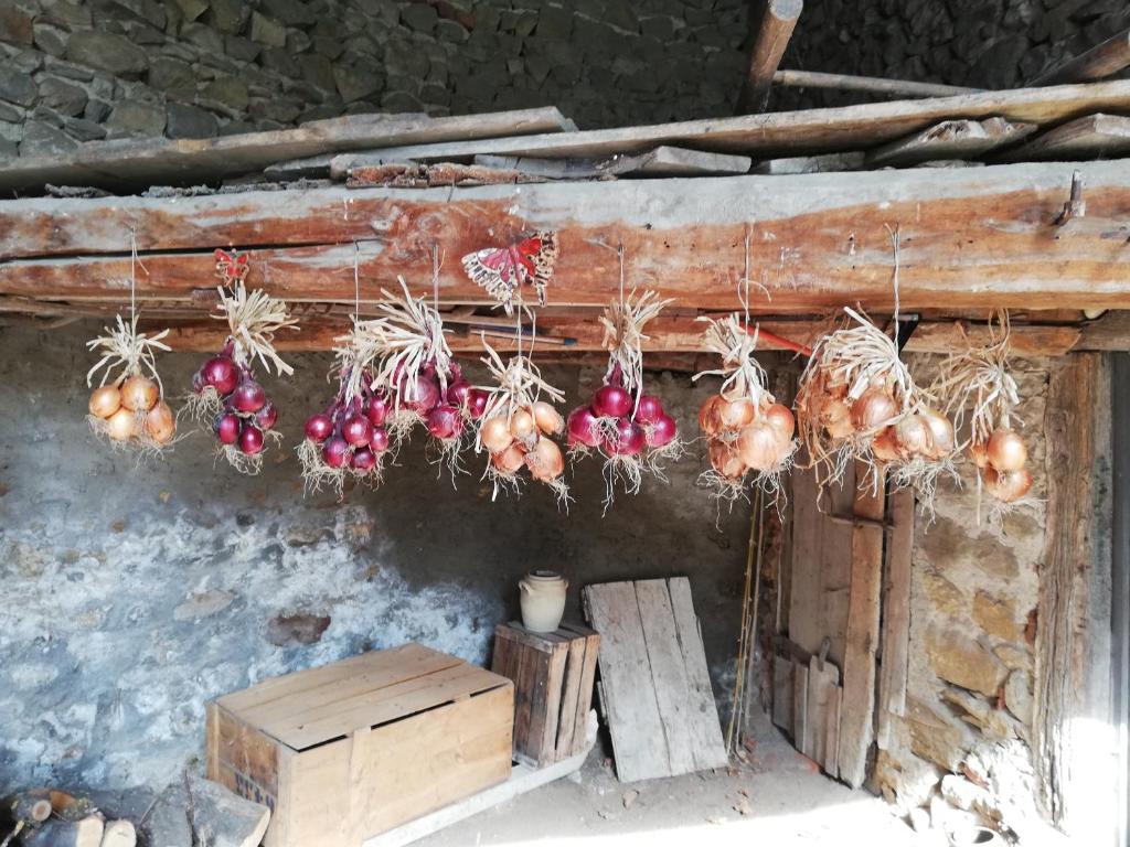 a bunch of onions hanging on a wall at Les Bessonnes in Saint-Georges-Haute-Ville