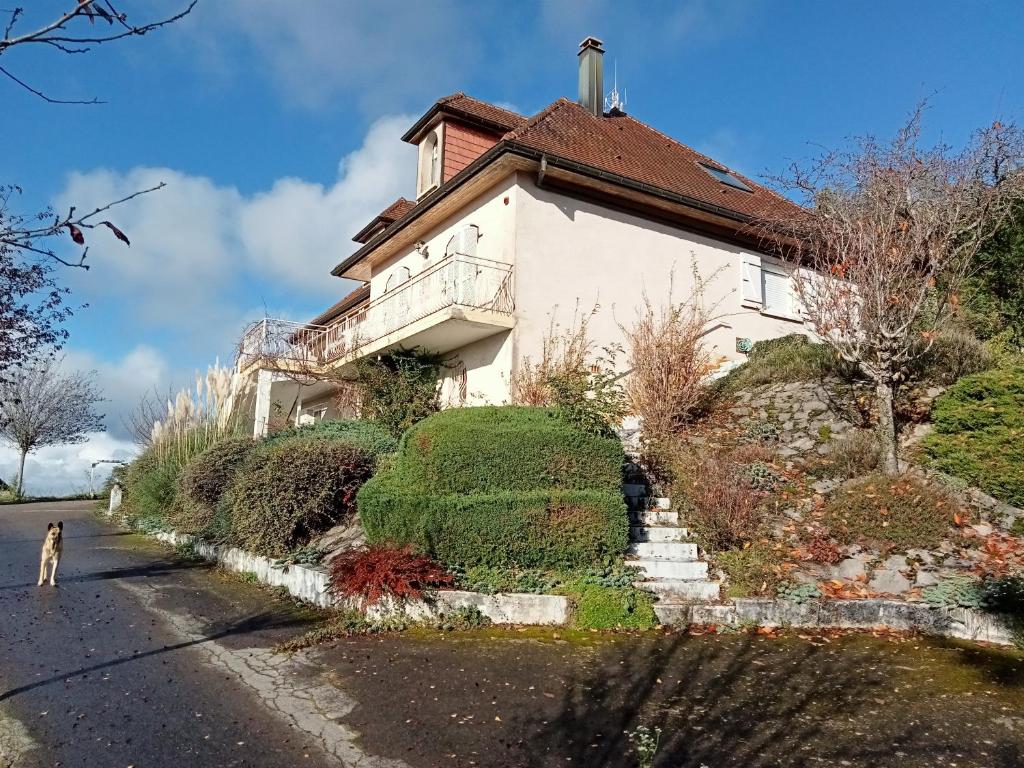 a house with a dog standing in front of it at Vaste villa en position dominante superbe vue lacs in Hautecour