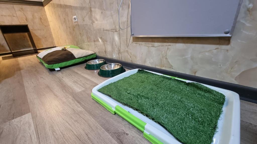 Fotografie z fotogalerie ubytování Hotel Asturias v destinaci Viña del Mar