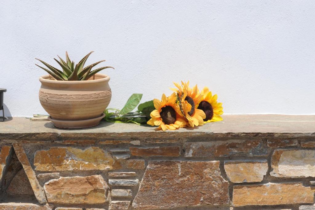 Fotografie z fotogalerie ubytování Aigaio Studios tinos v destinaci Tinos