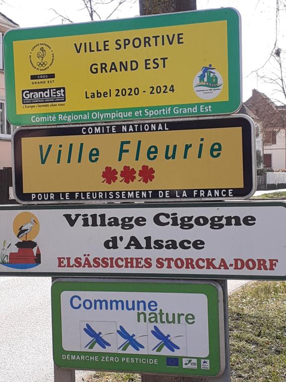 Idéal séjour Alsace ! proche Colmar et sur la route des Vins, Gîte de la Liberté – photo 18