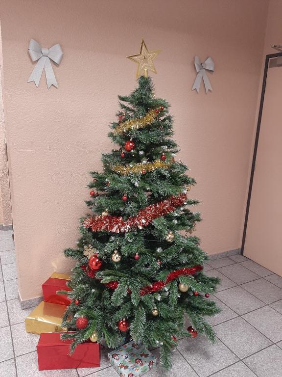 Cit'Hotel Primo Colmar Centre – photo 20