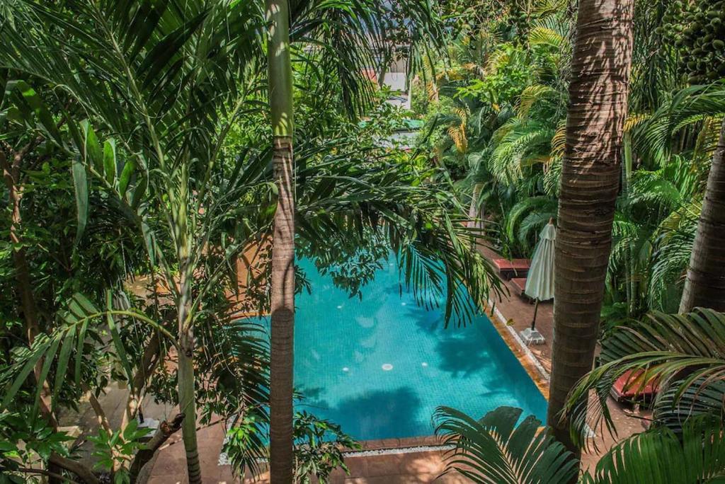 an overhead view of a pool surrounded by palm trees at Marirath Boutique Hotel in Siem Reap