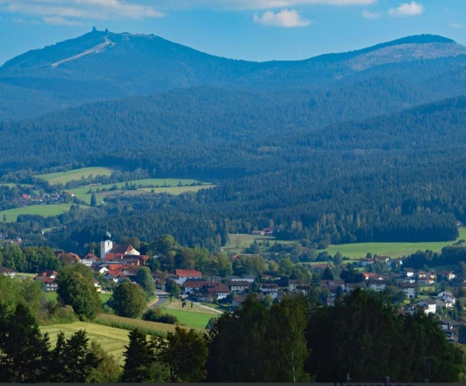 uma cidade num vale com montanhas ao fundo em Ferienwohnung HOAMAT Schmalzreich Andrea em Lam