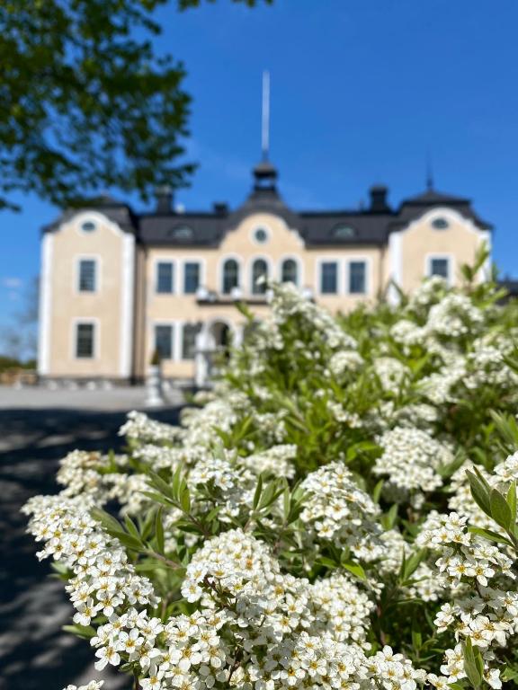 Zahrada ubytování Johannesbergs Slott