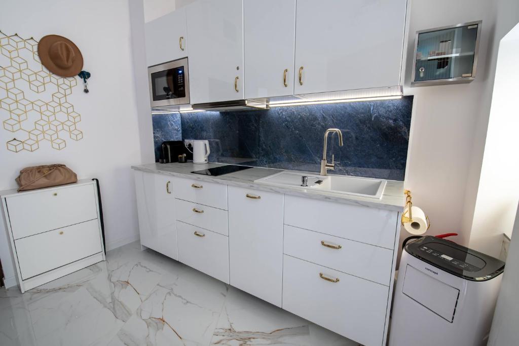 Kuchyňa alebo kuchynka v ubytovaní Apartamenty Yeti & Wilka w Centrum Chorzowa - Yeti