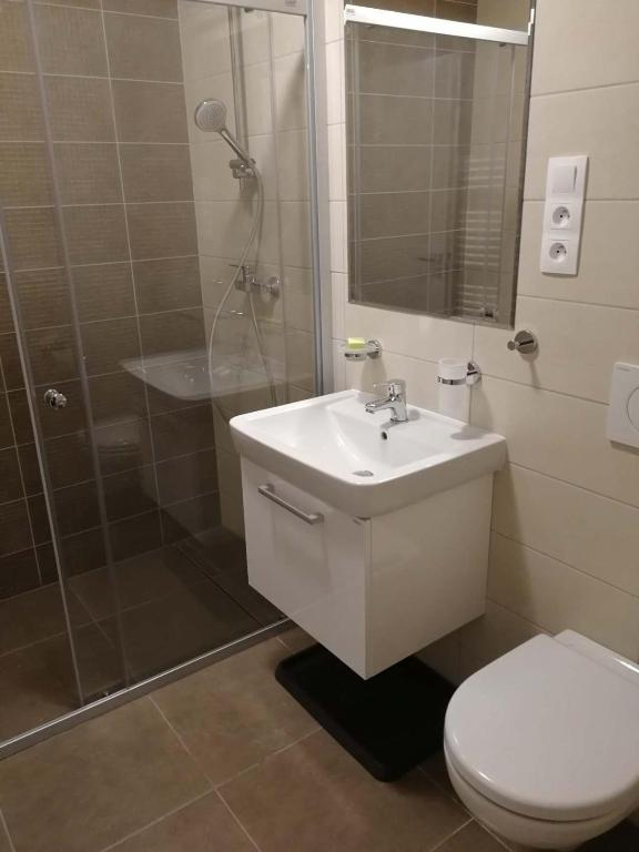 Koupelna v ubytování Apartmán Praděd v Říčkách - Říčky v Orlických horách