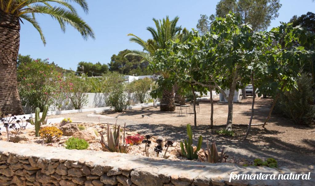 Vonkajšia záhrada v ubytovaní Casas Emma y Sofía - Formentera Natural