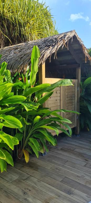 Fotografie z fotogalerie ubytování Gîte Kaz à Topaze, piscine, jardin tropical v destinaci Sainte-Rose