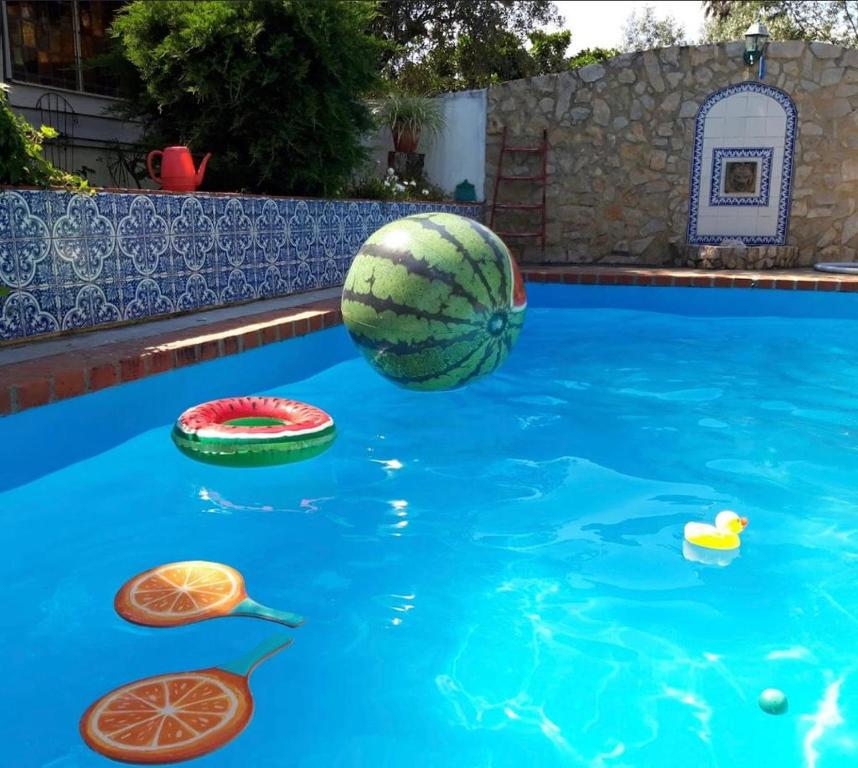 una piscina con sandía y otros artículos en el agua en Lovely quinta in nature with pool - Tomar, en Pero Calvo