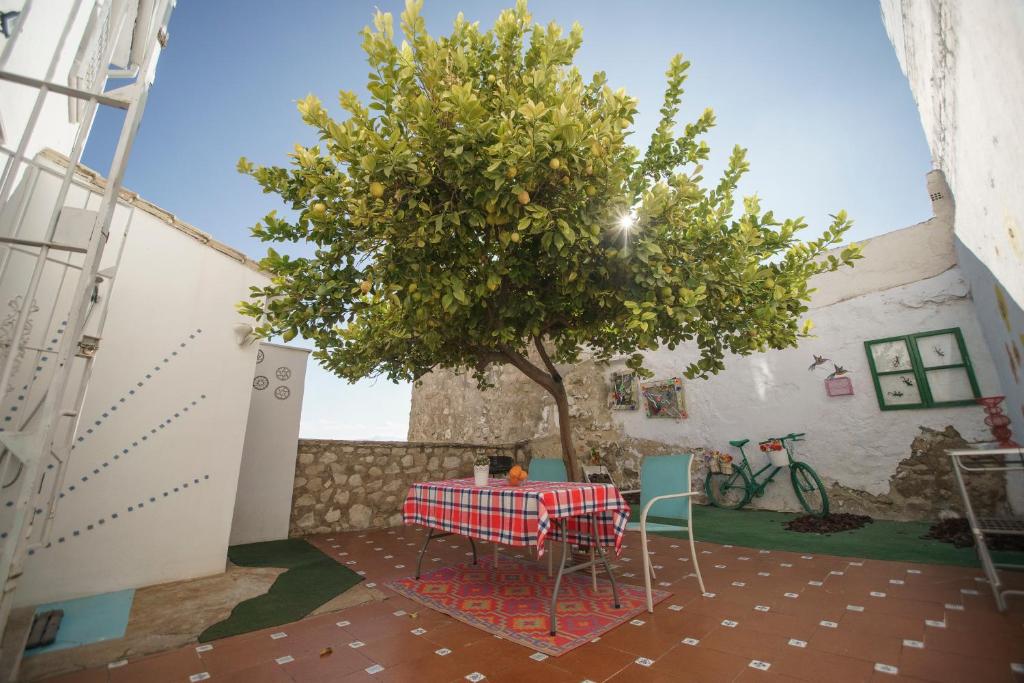 Patio alebo iná vonkajšia časť ubytovania Casa singular y con encanto