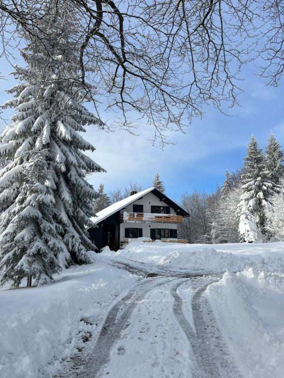 Chalet Mint v zimě