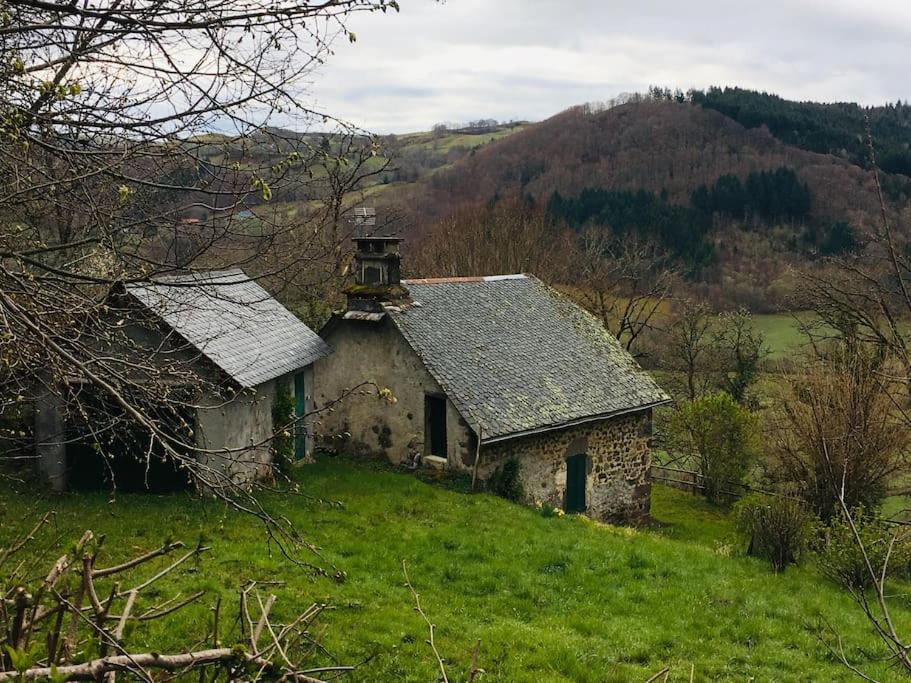 Príroda v okolí dovolenkového domu