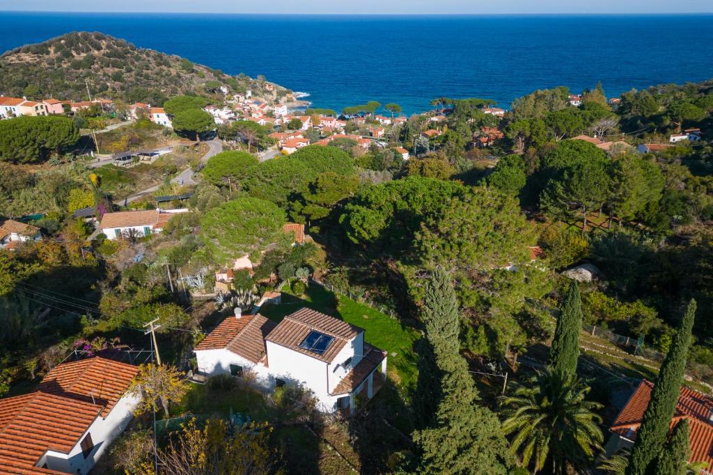una vista aérea de un pueblo con árboles y el océano en Villa Caterina Quiete e Mare-Goelba, en SantʼAndrea