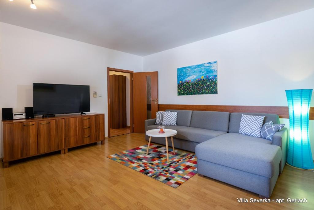 TV a/nebo společenská místnost v ubytování Apartmány Villa Severka