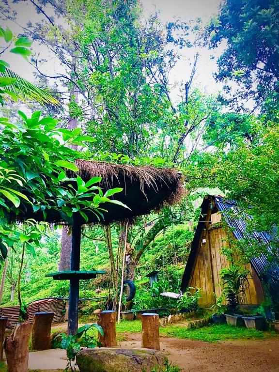 The 1964 Holiday bungalow - 16