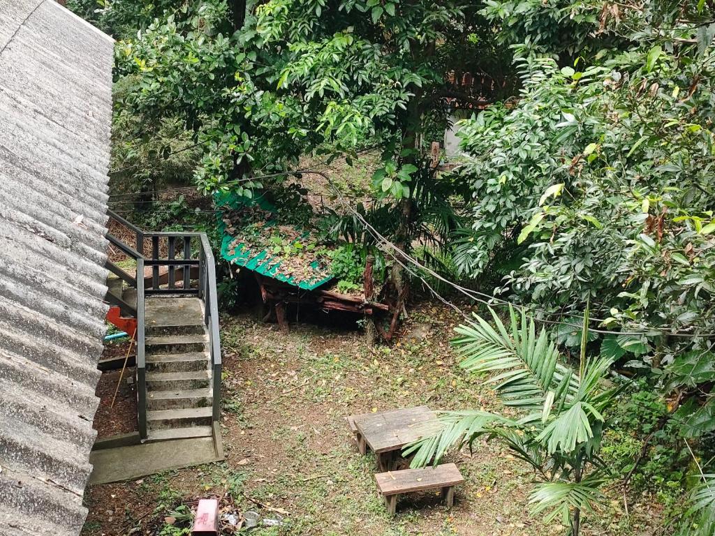 a garden with a ladder and a bench and trees at Garden View Resort Tonsai in Tonsai Beach