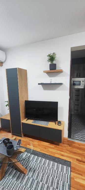 TV a/nebo společenská místnost v ubytování Marinkovic stan na dan