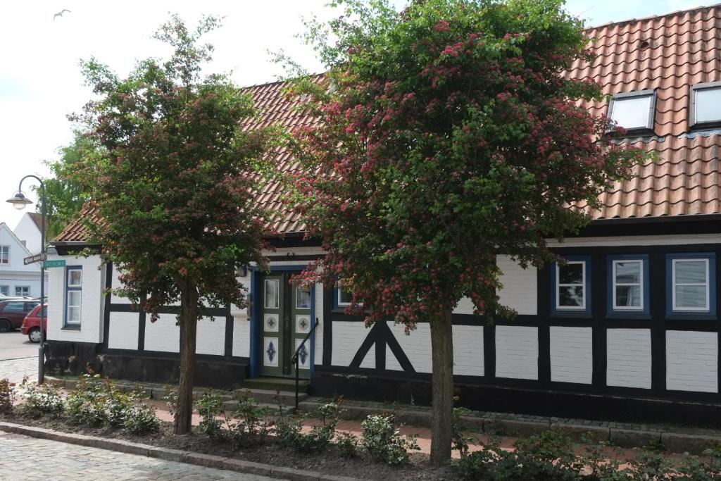 a black and white house with two trees in front at Wohnen am Dehnthof Haus 1 in Kappeln
