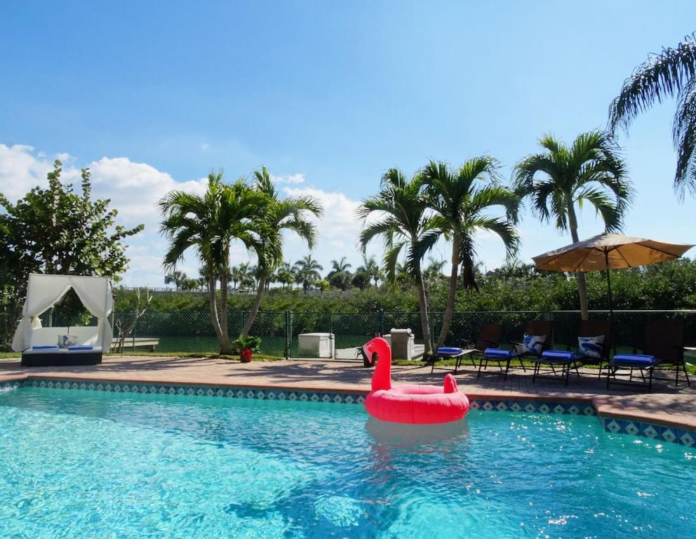 un flotteur de cygne rouge dans une piscine dans l'établissement Stunning Waterfront Pool Home Walk to Beach & Restaurants Large Private Pool, à Clearwater Beach