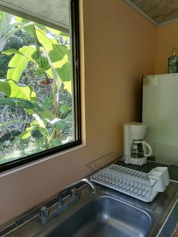 Kuchyň nebo kuchyňský kout v ubytování Casa Taupe