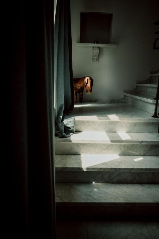 Fotografie z fotogalerie ubytování Relais M B&B v destinaci Frasnes-lez-Anvaing