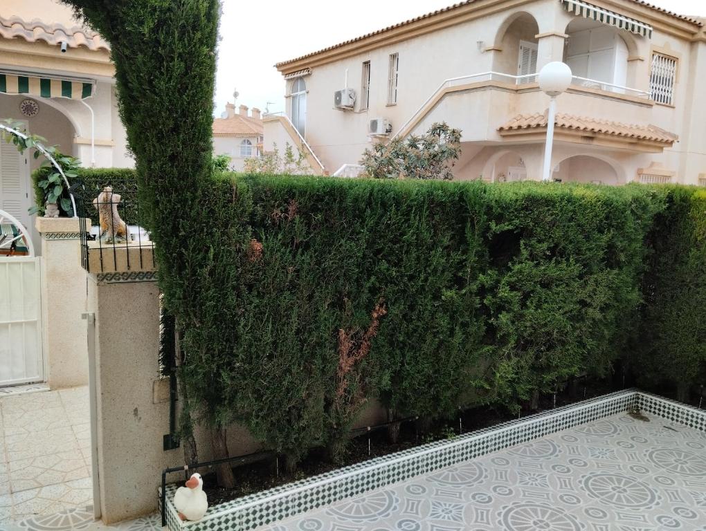Booking.com: Itaca street bungalow , Torrevieja, Spanje ...