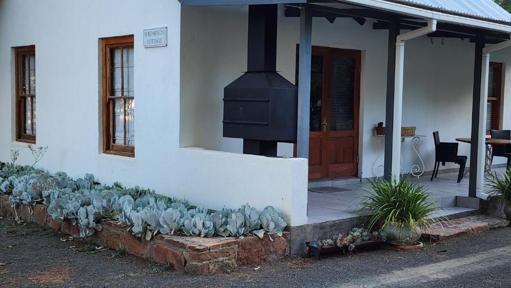 a flock of birds sitting on the side of a house at Shepherd's Cottage in Nieu-Bethesda