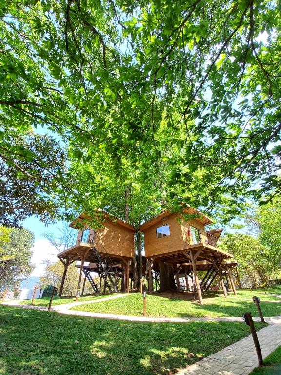 a tree house in the middle of a park at Cabanas All Black in Monte Verde