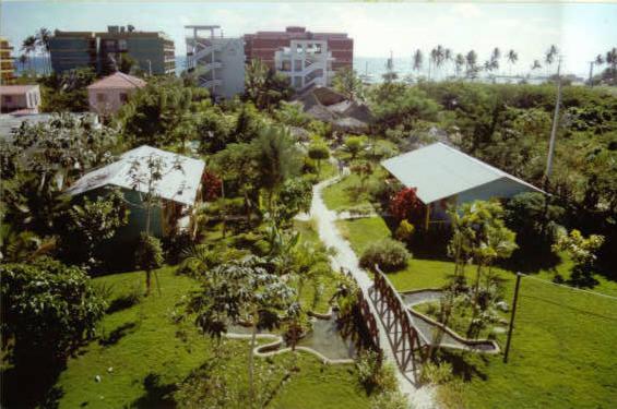 Zahrada ubytování Plaza Real Resort
