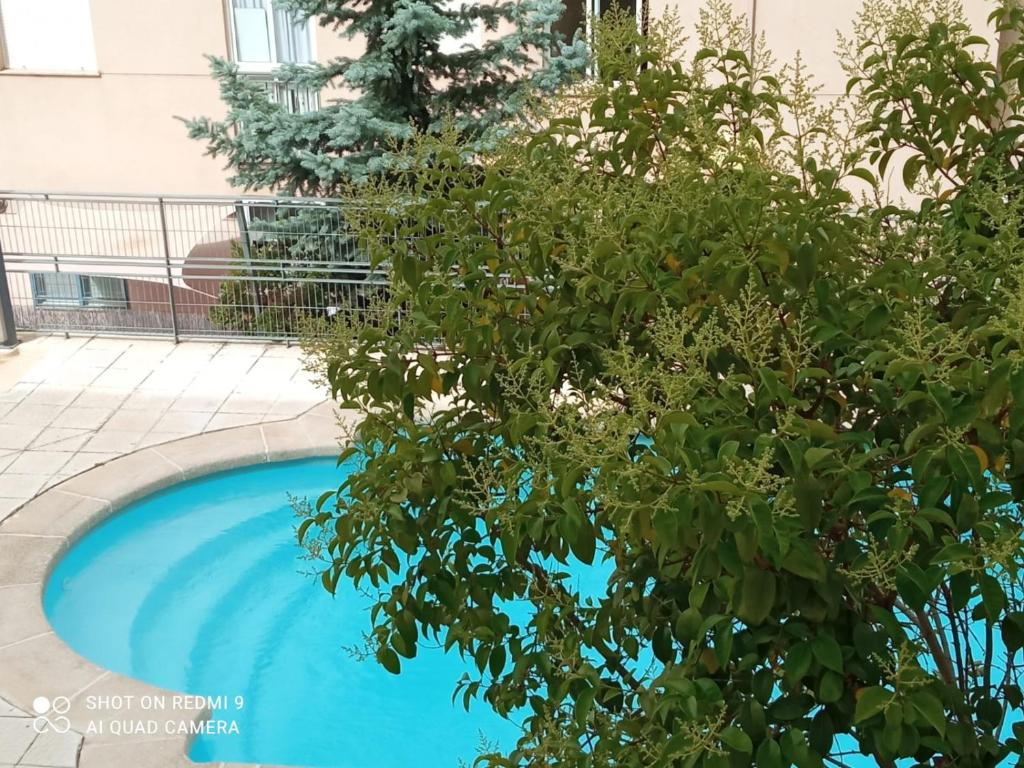 un arbre à côté d'une piscine bleue dans l'établissement Sol de Poniente, à Salamanque