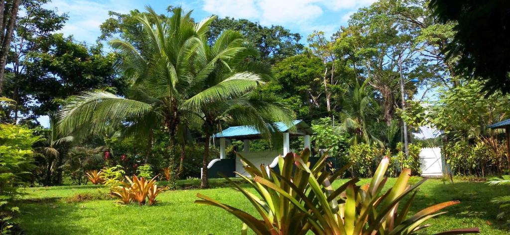 Private Villa on 2-Acres of Jungle Garden & Pool - 