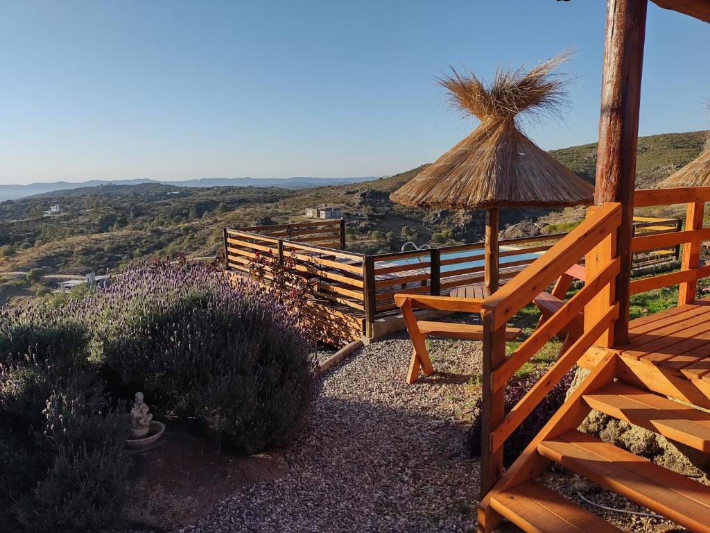 a patio with a chair and an umbrella and some bushes at CABAÑAS PIRCAS DE CAMPO in Tanti