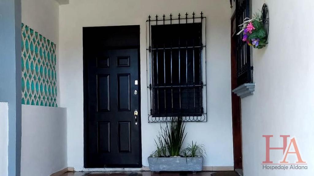 eine schwarze Tür an einer weißen Wand mit einer Topfpflanze in der Unterkunft Hospedaje Aldana - Posada SOL en zona natural in Tuxpan de Rodríguez Cano