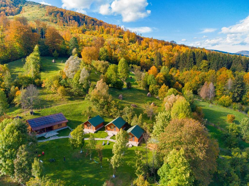 Příroda nedaleko kempu