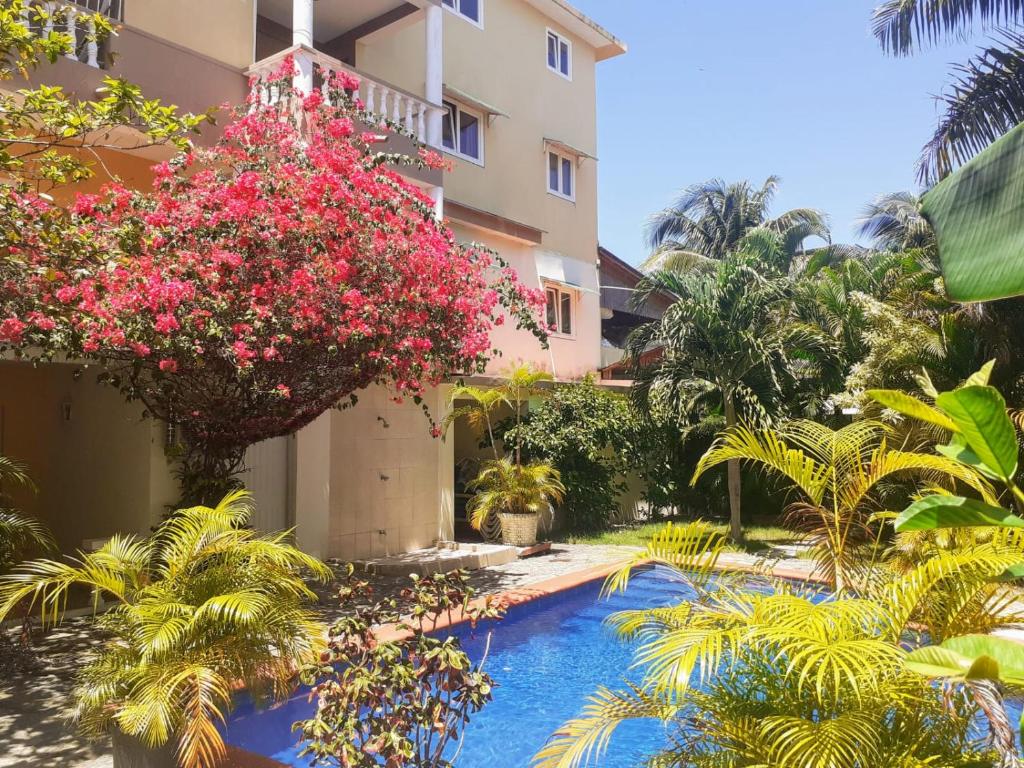 un complexe avec une piscine et des plantes à fleurs dans l'établissement Aparthotel Michaela, à Sosúa