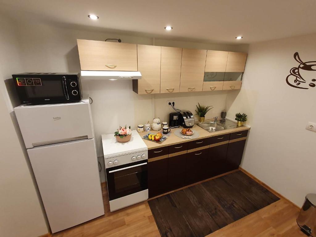 Kuchyňa alebo kuchynka v ubytovaní Raday Exlusive Apparttement