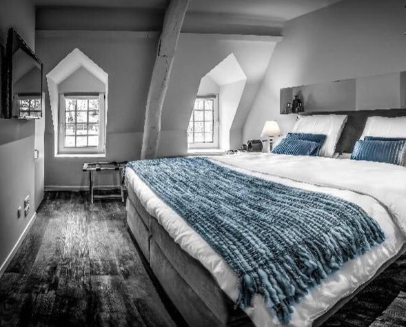 Machelen的住宿－Don Jon，一间大卧室,配有一张大床和两个窗户