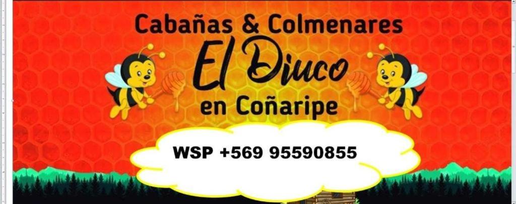um sinal para uma conferência com abelhas sobre ele em Cabañas El Diuco en Coñaripe 4 em Coñaripe