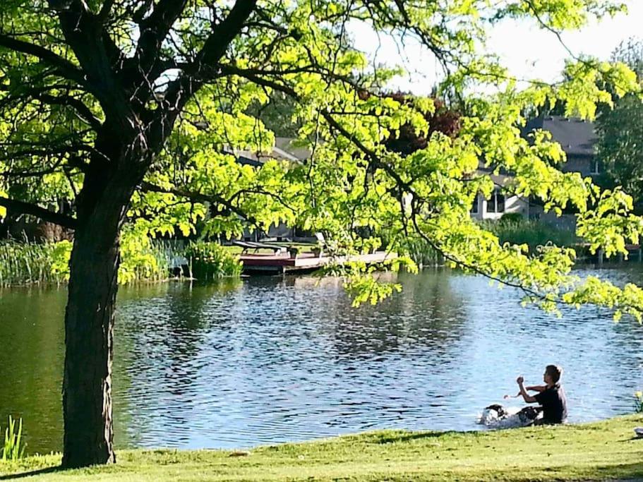 un homme et un chien assis dans l'herbe près d'un lac dans l'établissement Lake Front Studio with Kayaks Bikes near Greenbelt, à Boise