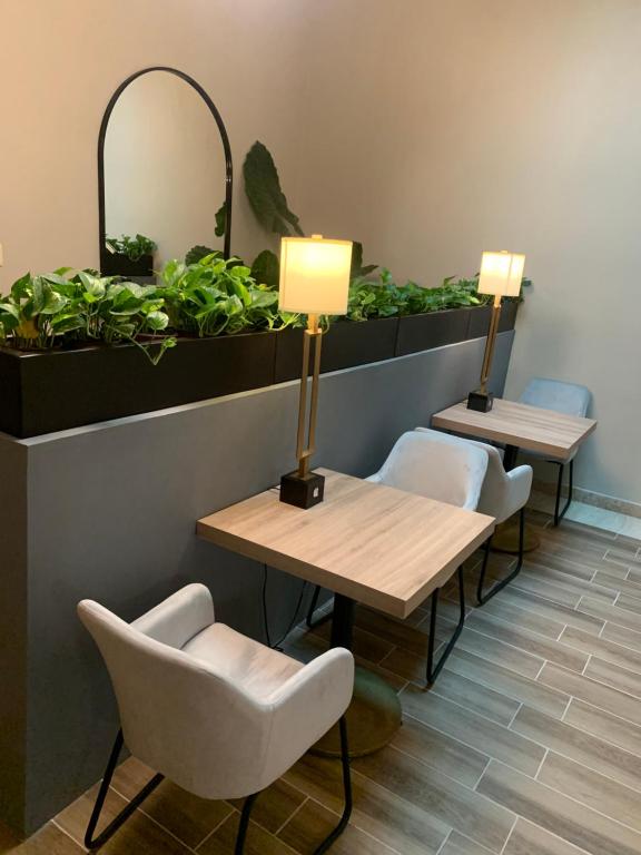 Fotografie z fotogalerie ubytování Dos Patios Querétaro Curamoria Collection v destinaci Querétaro