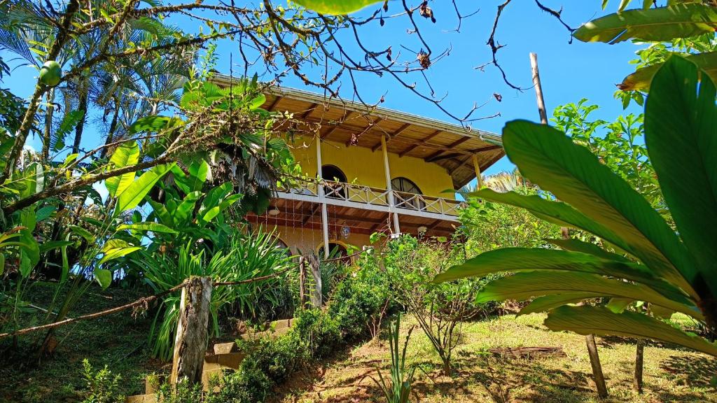 a house in the middle of a forest at Cabañas Tico Gringo in Drake