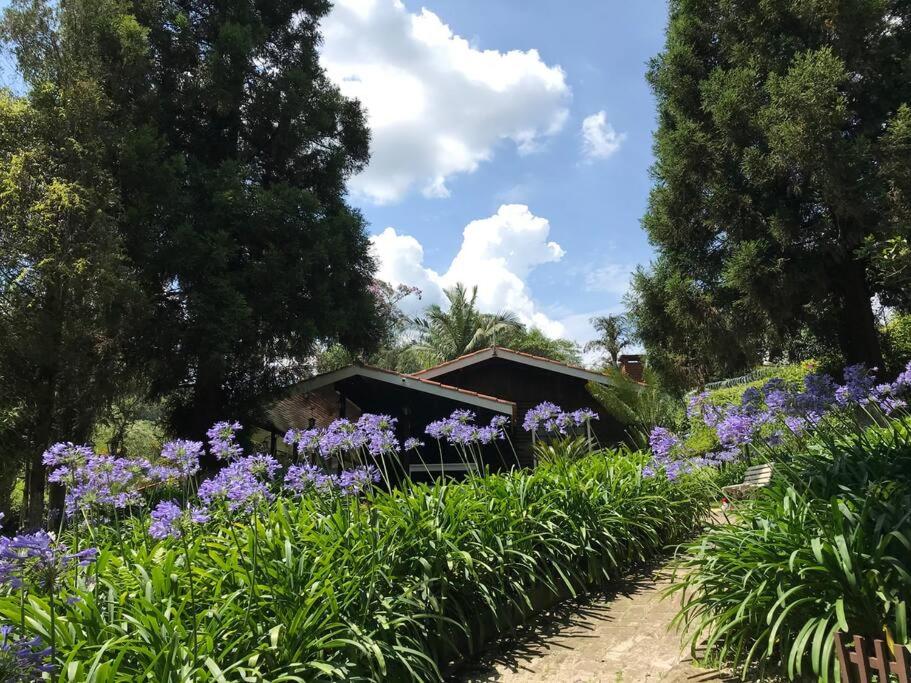 a path through a garden with purple flowers at Lindo e aconchegante chalé com piscina, lareira e churrasqueira in São Roque