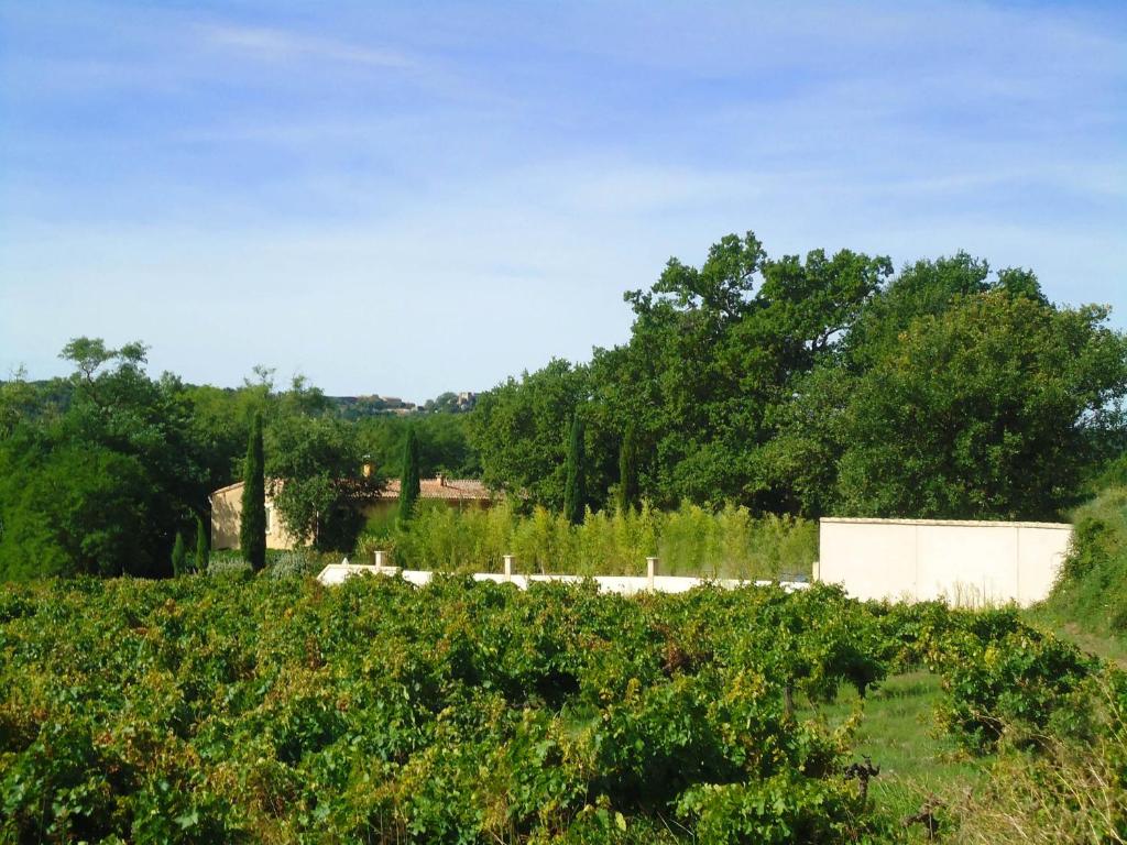 Príroda v okolí of the bed and breakfast