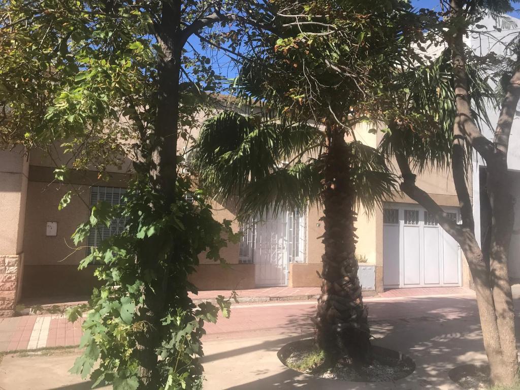 dos palmeras delante de un edificio en La casa de la Abuela en San Rafael