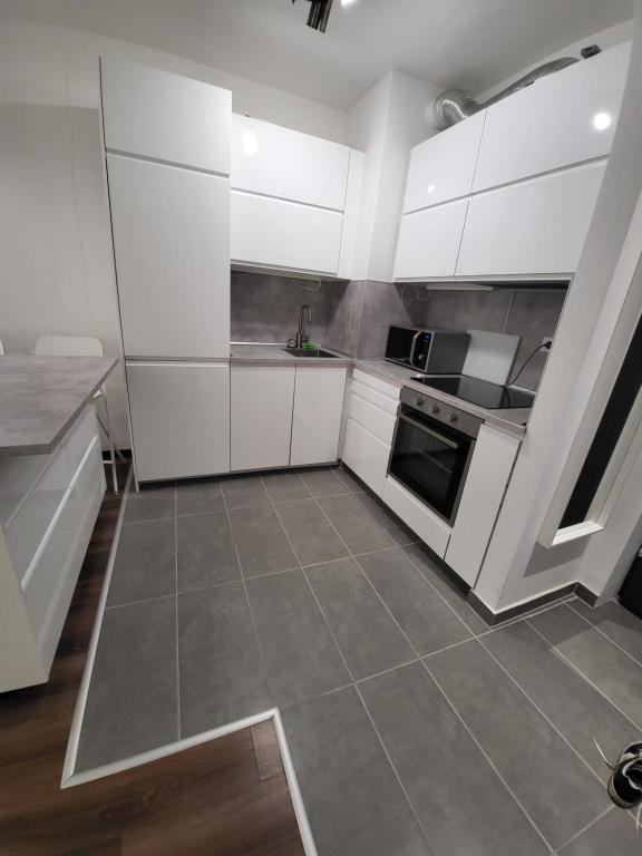 Kuchyň nebo kuchyňský kout v ubytování SDP Marina Apartment